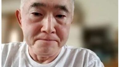 Eileen Higgins Wikipedia