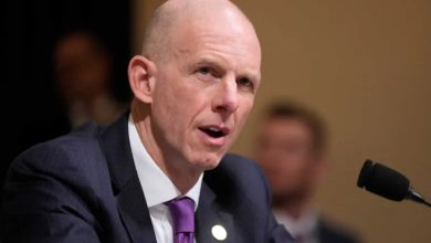 Eileen Higgins Wikipedia