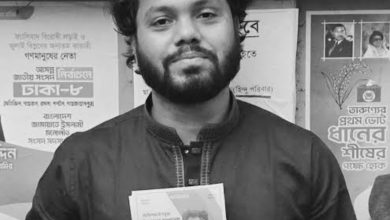 Amanda Frances Wikipedia