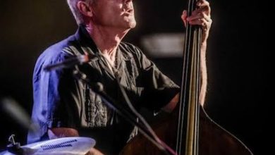 Kessler Zwillinge Wikipedia