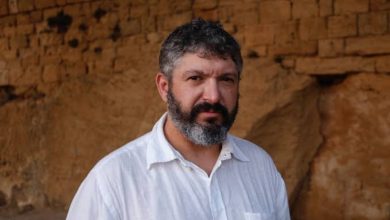 Amanda Frances Wikipedia