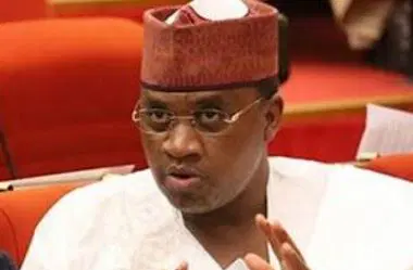Marafa’s Survival Move: The Senator Who Refused to Drown with the ADC.