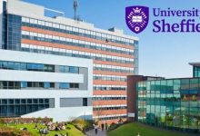 Opportunism vs. Destiny: The Real Reason Atiku’s Dream is Dead.