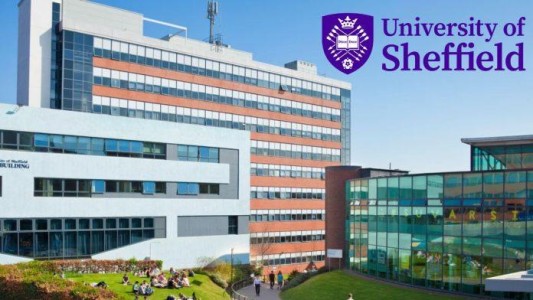 Step-by-Step Guide: Applying for the 2026 Sheffield Sanctuary Scholarship.