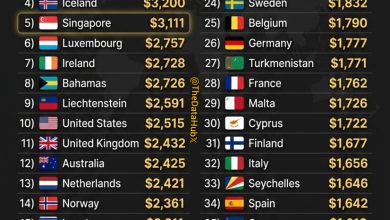 12 Websites that pay you daily!