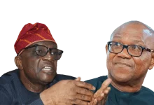 Tricia Mclaughlin DHS Wikipedia