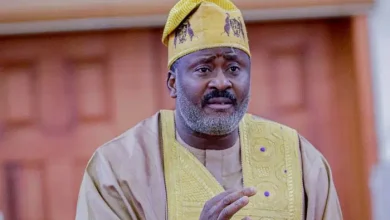 2027 Primaries: Desmond Elliot Laments Intimidation