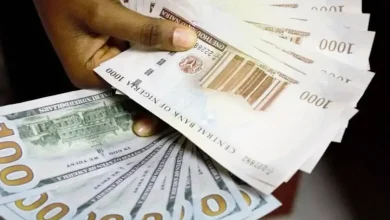 12 Websites that pay you daily!