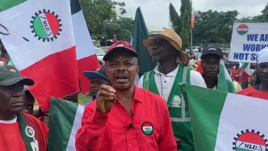 Shock in Rivers APC: Tonye Cole Abruptly Withdraws From 2027 Governorship Race