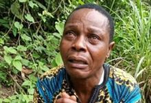 Nigeria Geo-Political Zone Bill 2026