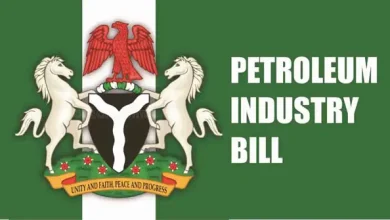 Oil Sector Crisis: Reps Move to Sanction Agencies Over Failed PIA Implementation