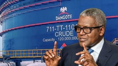 Bull Market Alert! ₦1.1 Trillion Gained in One Week as Nigerian Stocks Skyrocket